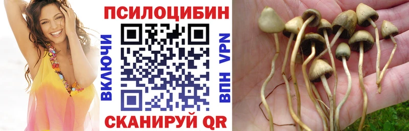 купить наркотик Каменка Галлюциногенные грибы мухоморы